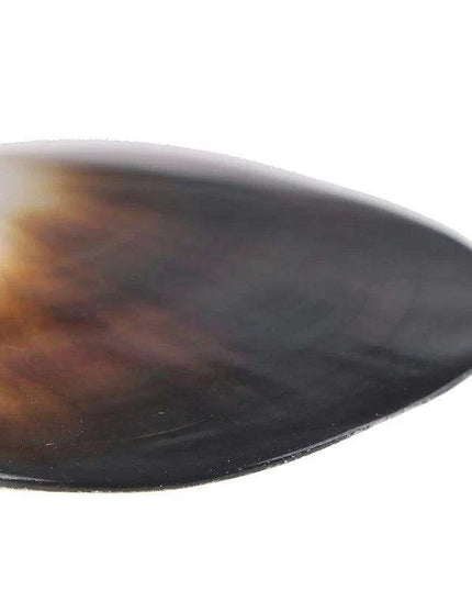 Elegant Black Butterfly Seashell - Stunning Coastal Decor Accent