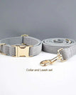 collar and leash set / XS