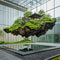 Nora 5 Floating Island Landscape Simulation with Green Plants & Rocker