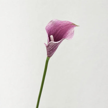 Artificial Calla Lily Flower Stem, 50 cm, Single Stem
