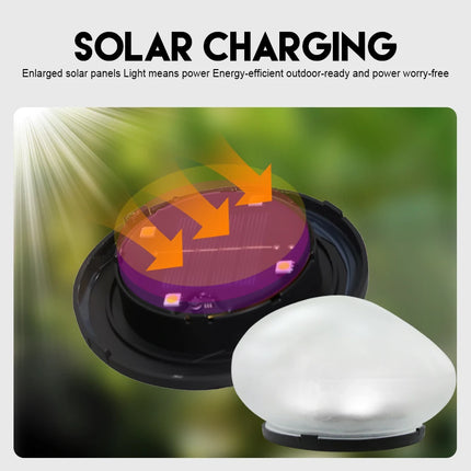 Solar Outdoor Ground Lamp — IP65 Waterproof, 8h Runtime, Warm/White/Colour