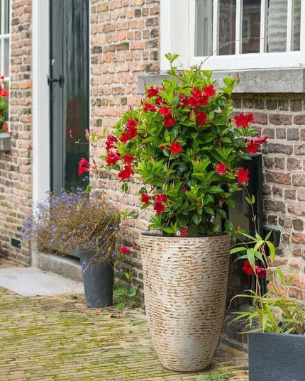 Elegant Large Stone Finish Outdoor Planters for Landscaping Excellence