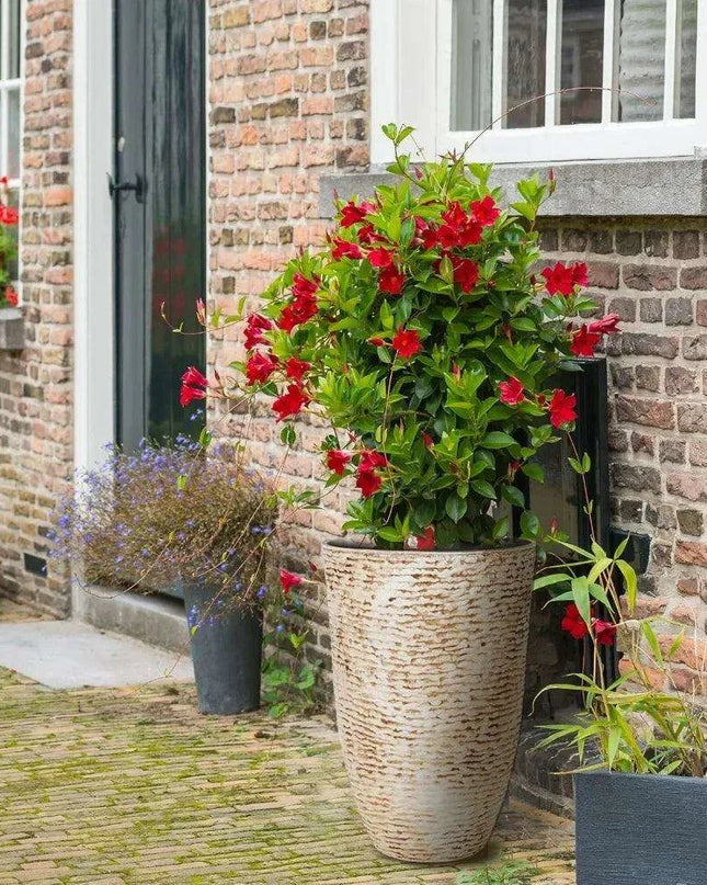 Elegant Large Stone Finish Outdoor Planters for Landscaping Excellence