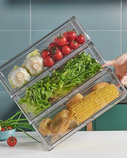 Fridge Organization Freshness Container - Ultimate Storage Solution for Neat Refrigeration