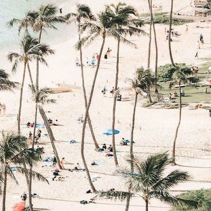 California Dreaming Surf Canvas Art - Elegant Coastal Home Decor