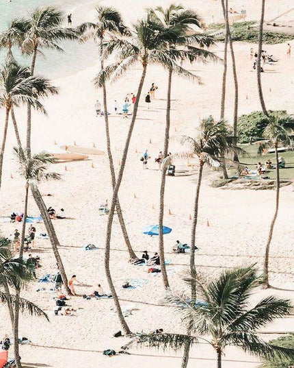 California Dreaming Surf Canvas Art - Elegant Coastal Home Decor