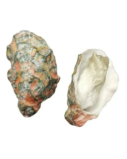 Realistic Scallop Shell BBQ Oyster Miniature Model - Perfect for Creative Projects