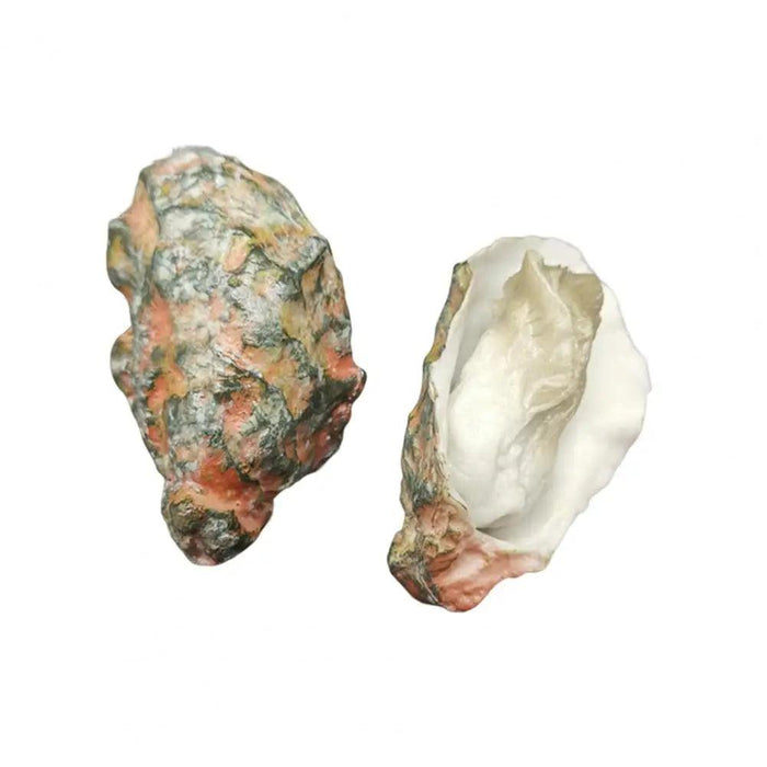 Realistic Scallop Shell BBQ Oyster Miniature Model - Perfect for Creative Projects