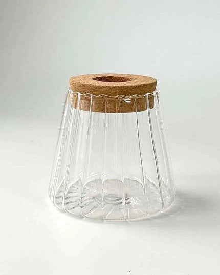 Chic Hydroponic Glass Vase - Modern Mini Planter for Stylish Home Decor