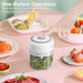 Compact Electric Garlic and Food Chopper with 100/250ml Capacity