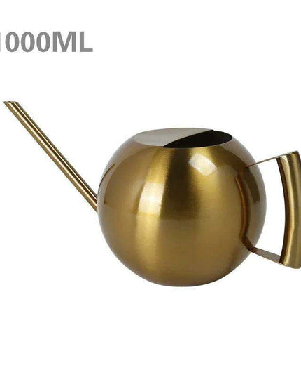 Stylish Stainless Steel Watering Can with Extended Spout - Perfect for Plant Nurturing