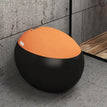 Black + Orange