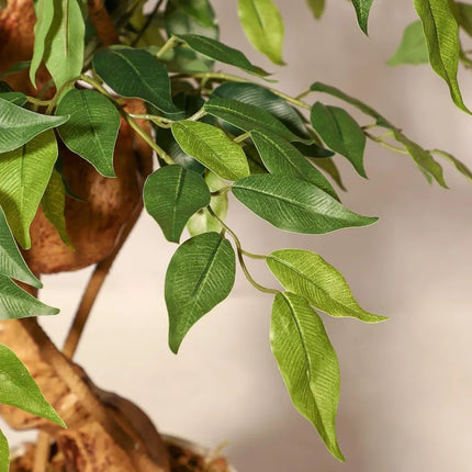 Artificial Ficus Tree with Twisted Trunk & Ceramic Planter