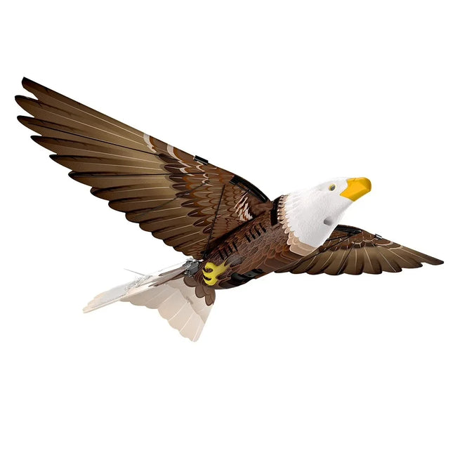 Bionic Eagle Flapping Wing RC Drone with GPS – Intelligent Bird Aircraft