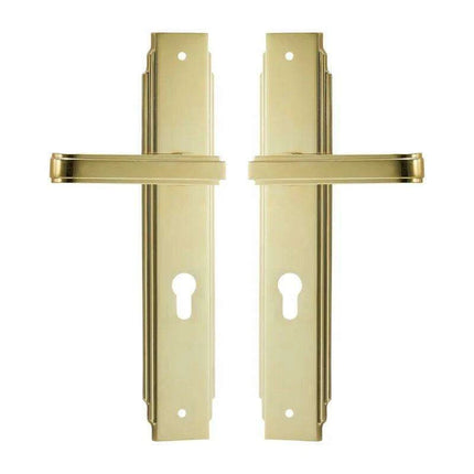 Luxurious PVD Gold and Chrome Double Lever Door Handle Set for Bedrooms and Bathrooms