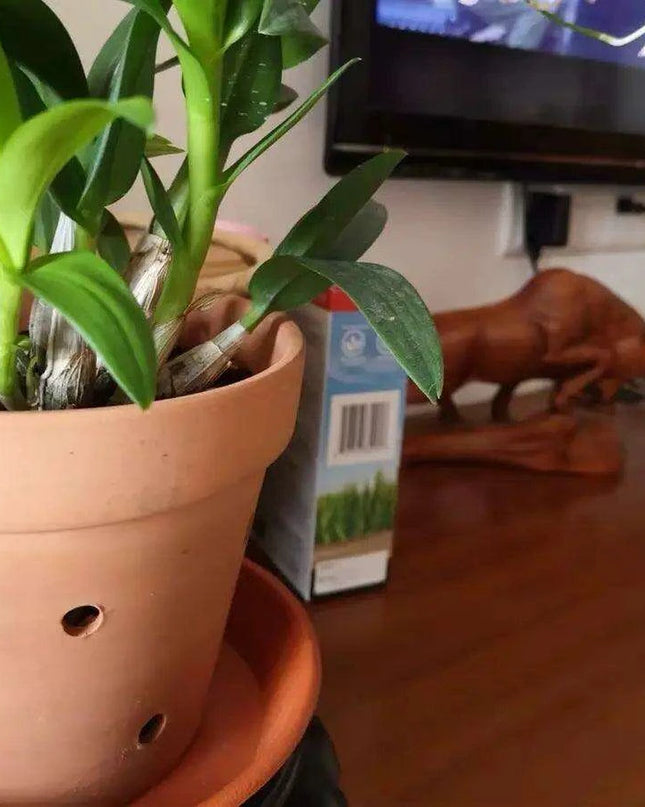 Set of 2 Stylish Red Terracotta Hanging Pots with Drainage for Succulents and Cacti