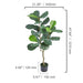 Personalized Realistic Stainless Steel Olive Tree for Stylish Home and Garden Decor