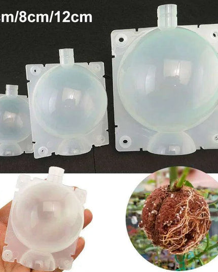 Clear Propagation Sphere for High-Pressure Grafting - Available in 5cm, 8cm, and 12cm Sizes