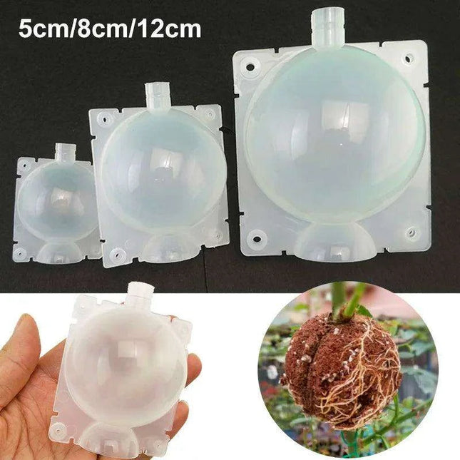 Clear Propagation Sphere for High-Pressure Grafting - Available in 5cm, 8cm, and 12cm Sizes