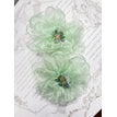 green / White