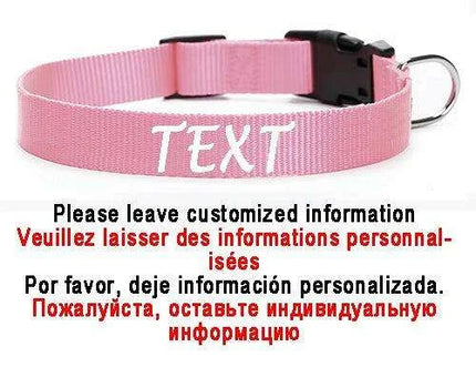 Personalized Nylon Dog ID Collar – Custom Name & Contact Info for Every Dog Breed