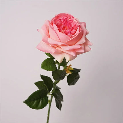 Real Touch Austin Latex Rose Stems — Set of 5