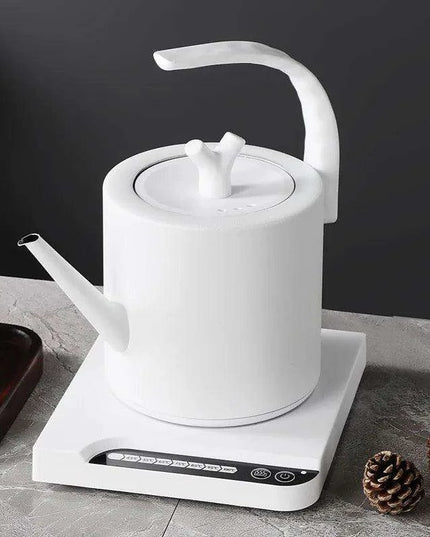 Elegant Precision Electric Kettle with Quick Boil and Temperature Settings