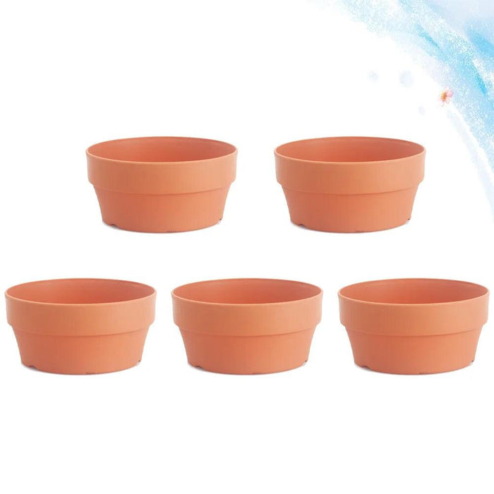 Set of 6 Chic Clay Planters - 12.5cm Pots for Indoor & Outdoor Succulent and Herb Gardening