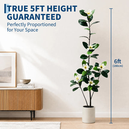 Artificial Magnolia Tree with White Flowers & White Pot, 150–180 cm