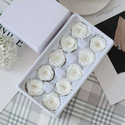 Eternal Blooms: Luxurious 10-Piece Preserved Rose Heads Collection