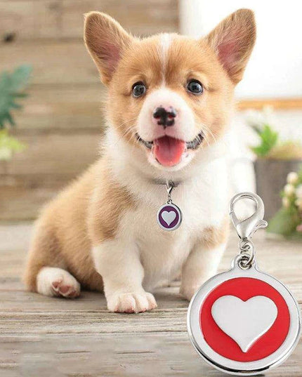 Personalized Love-Inspired Pet ID Tag for Your Furry Friend