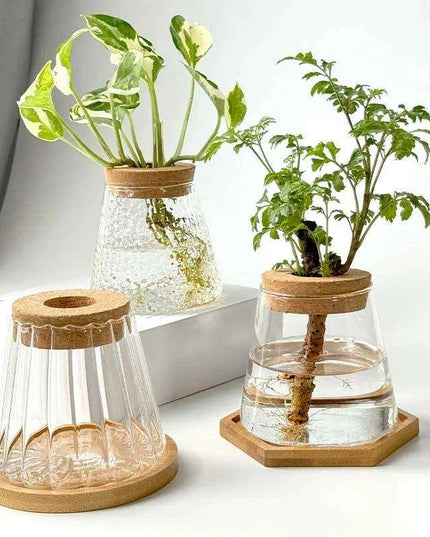 Chic Hydroponic Glass Vase - Modern Mini Planter for Stylish Home Decor