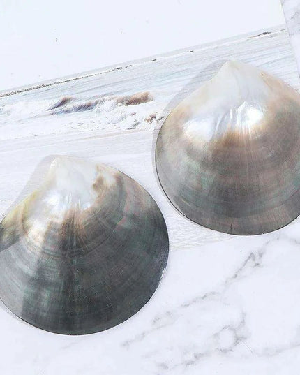 Elegant Black Butterfly Seashell - Stunning Coastal Decor Accent