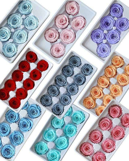 Eternal Blooms: Luxurious 10-Piece Preserved Rose Heads Collection
