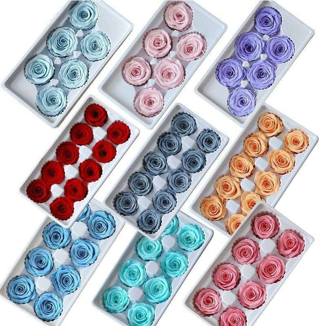 Eternal Blooms: Luxurious 10-Piece Preserved Rose Heads Collection