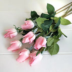 rose pink