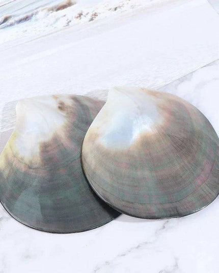 Elegant Black Butterfly Seashell - Stunning Coastal Decor Accent