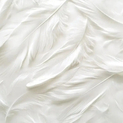 3D Abstract Feather & Flower Mural Wallpaper — Custom Size