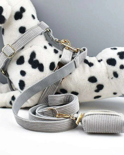Personalized Light Grey Corduroy Dog Collar and Leash Set with Stylish Accessories