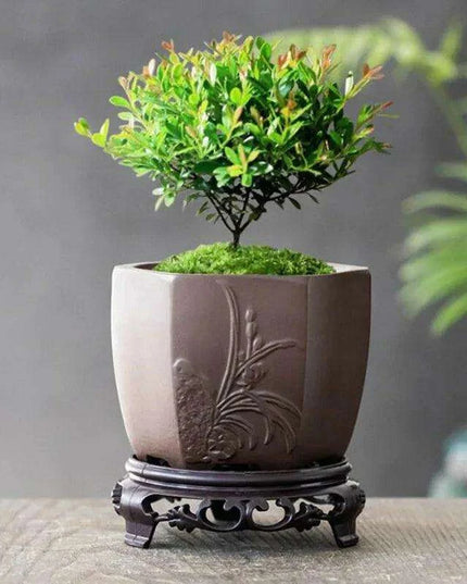Chic Polygonal Purple Clay Vase - Stylish Chinese-Inspired Home Decor Planter
