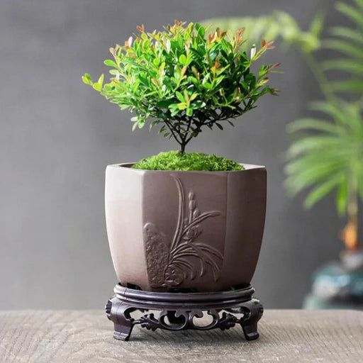 Purple Clay Polygon Flower Pot - Elegant Home and Garden Decor Vase