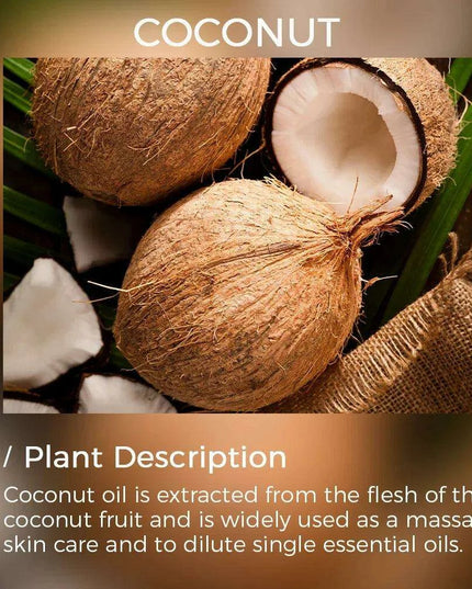 Aromatic Essential Oils for Home Diffusers - 100ml Fragrance Blends for Aromatherapy and Air Freshening