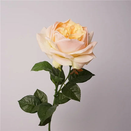 Real Touch Austin Latex Rose Stems — Set of 5