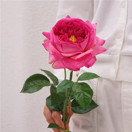 Real Touch Austin Latex Rose Stems — Set of 5