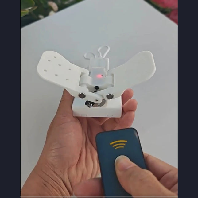 Auto Open/Close Electric Butterfly Wing Mechanism – 1kg Load Capacity