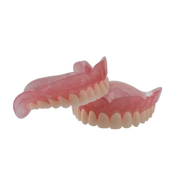 High-quality hot-selling medical dentals display model for education high-quality-hot-selling-medical-dentals-display-model-for-education