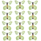 12PCS #2