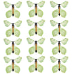 12PCS #2