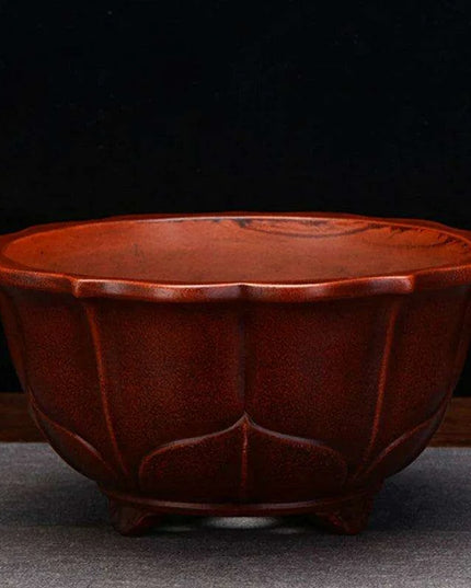 Serene Vintage Zen Purple Orchid Pot with Elegant Garden Aesthetic