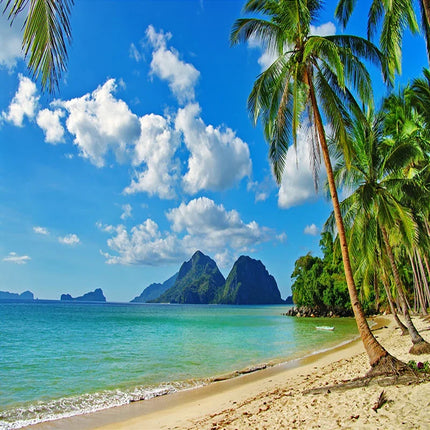 Tropical Beach & Sky Mural Wallpaper | 7 Finishes | Made to Measure
